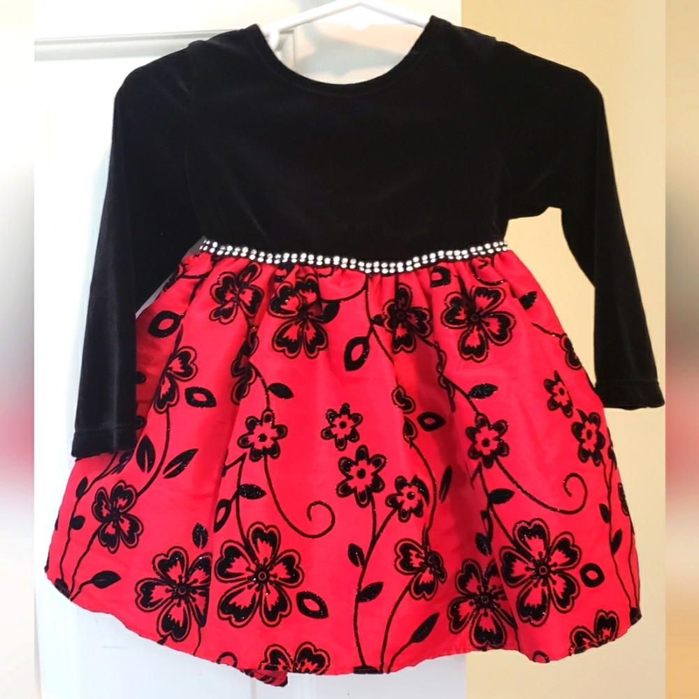 Fancy / Holiday Dress 18M